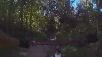 Wiped Out By A TREE! GoPro Hero 3 Fundo El Venado MTB Crash