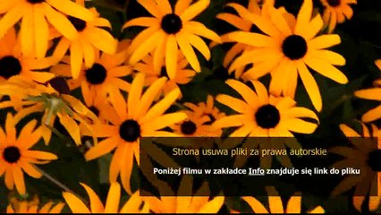 instrukcja renault megane ii kombi