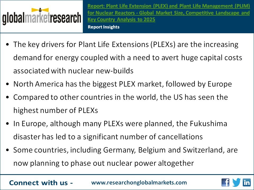 Plant Life Extension & Management for Nuclear Reactors | Market Research Report
