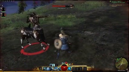 Guild Wars 2 - Découverte de la bêta