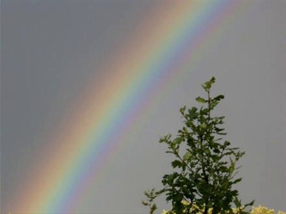 Die Wüste in meinem Herzen - Essay von Johannes Baerlap