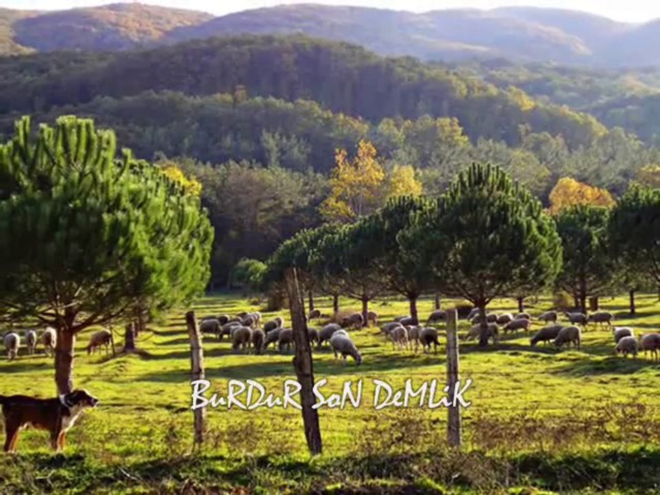 AŞIK NURİ YÜCEL @@ ZALİM YOKSULLUK (ÖMRÜMÜ YEDİN-PARA PARA).wmv