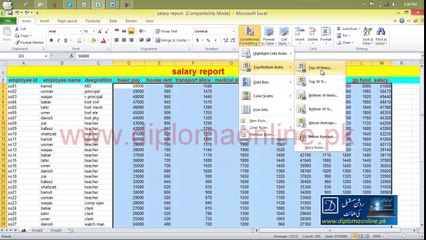MS Excel Lesson 06