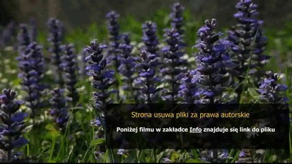 instrukcja pralki siemens a12 16