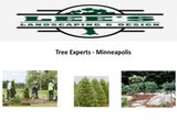 Lee's Landscaping & Design, Inc Minnesota Landscaping