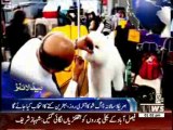 Waqtnews Headlines 01:00 PM 11 February 2014