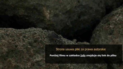 instrukcja obslugi webasto scania