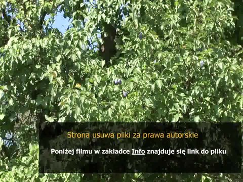 instrukcja obslugi webasto scania