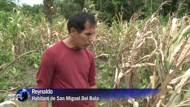 Au moins 40 morts dans des pluies torrentielles en Bolivie