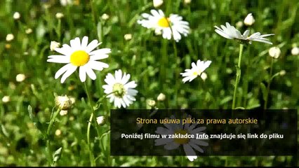 jak poderwac dziewczyne poradnik zapytaj