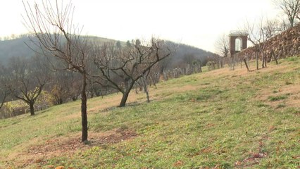 Etats-Unis: Obama et Hollande en visite à Monticello