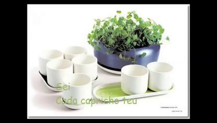 Duelo de Musicas  paulo gonzo sei te de cor