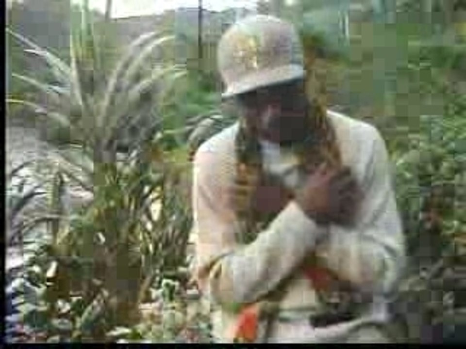 gyptian