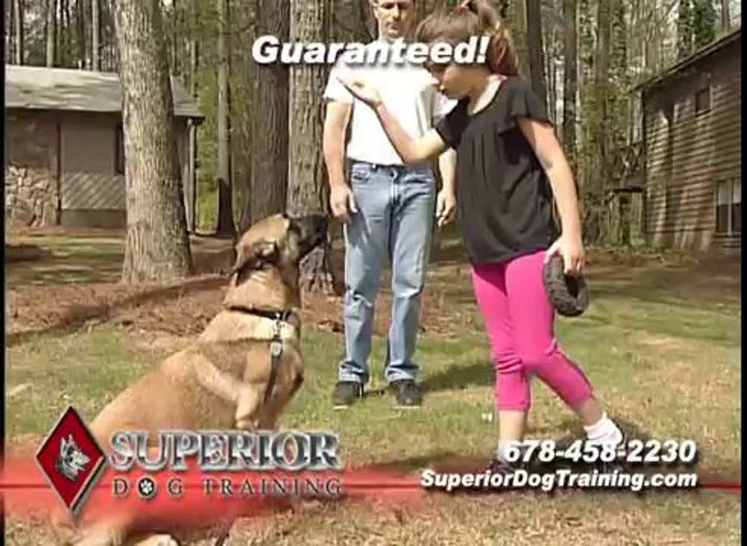 ⁣Best Dog Training Georgia