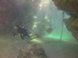Pharaoh Dive Club Dive Sites - Pirates Boneyard