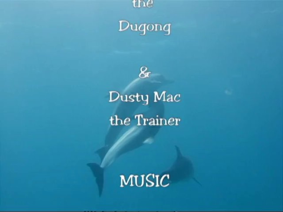 Pharaoh Dive Club Dive Sites - Dolphins of El Quseir