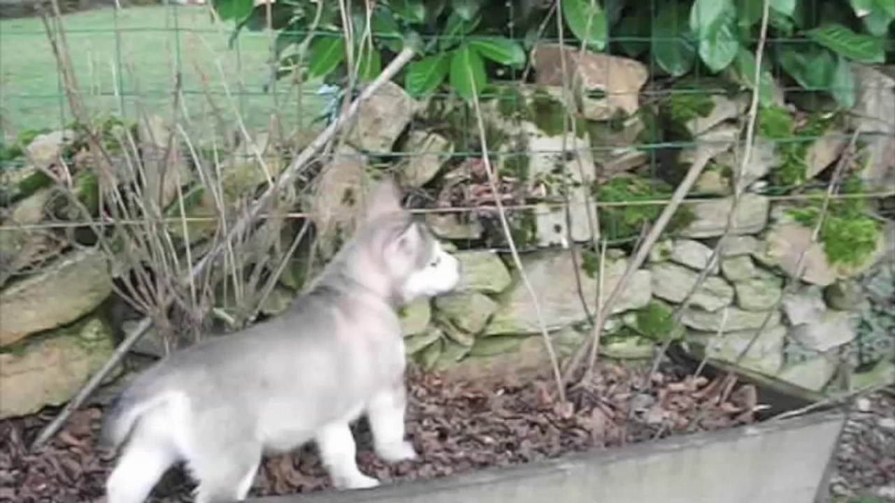 7 ème sem des ty laouen