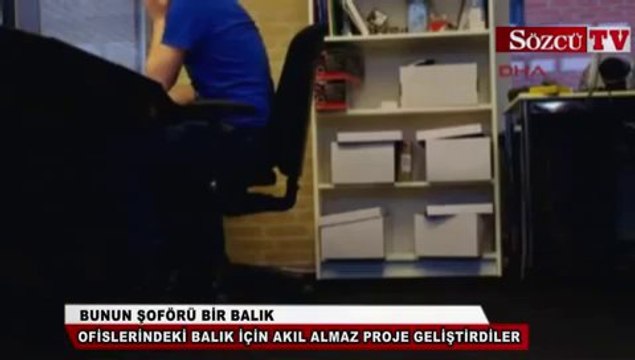 Bunun şoförü bir balık