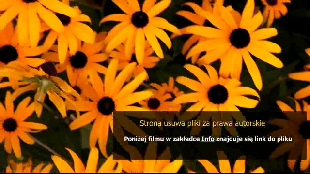 instrukcja montazu zmywarki do zabudowy bosch