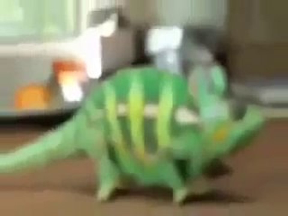 This animal is gifted by GOD