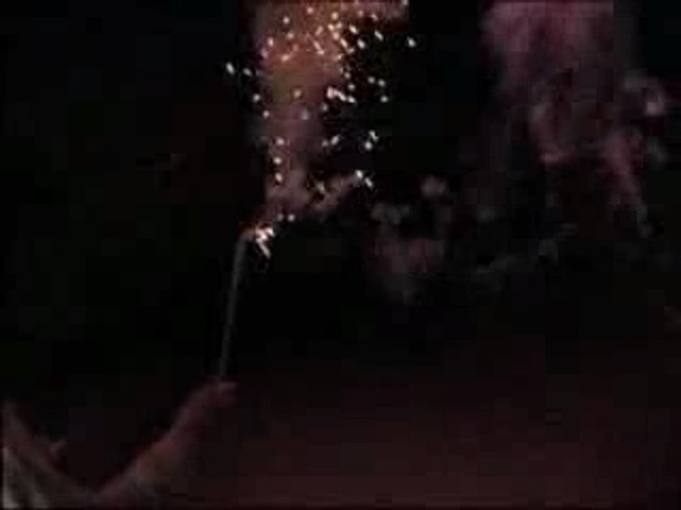 Skate Videos - 411vm - Elissa Steamer