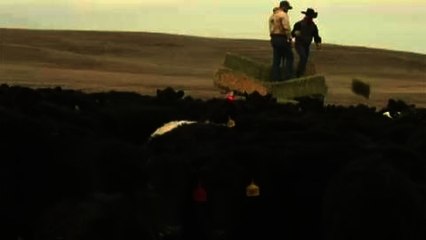 US drought taking toll on ranchers