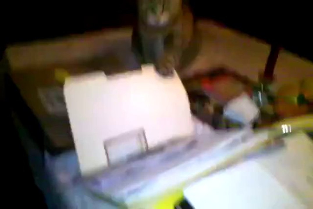 Dieser Katze ist definitiv langweilig