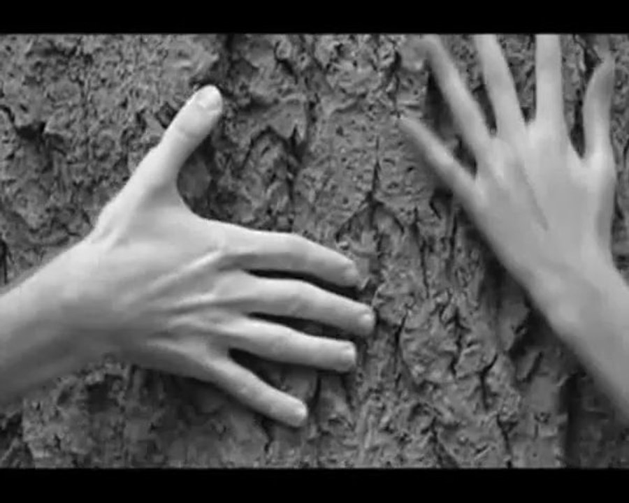 Şenay Şenses - ayrılık ateşten bir ok -meyhane şarkıları - kolaj Serbülent Öztürk