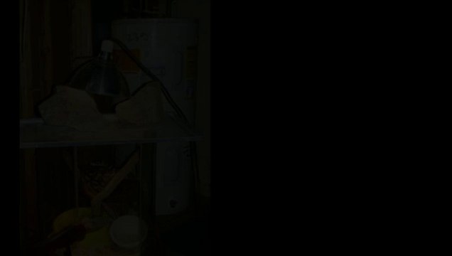 Home Inspection Holland Michigan | Shoemaker Inspections LLC