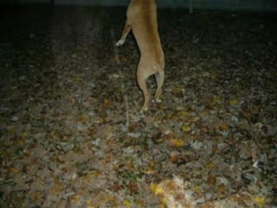 Novembre 2006 part.1