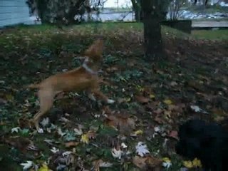 Novembre 2006 part.2