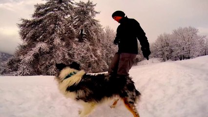 dogs, tricks , snow ;-)