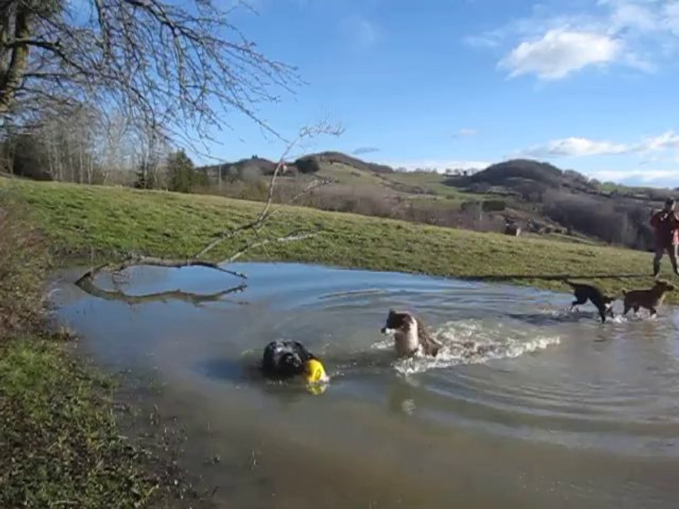 Bain fevrier 14 - 2