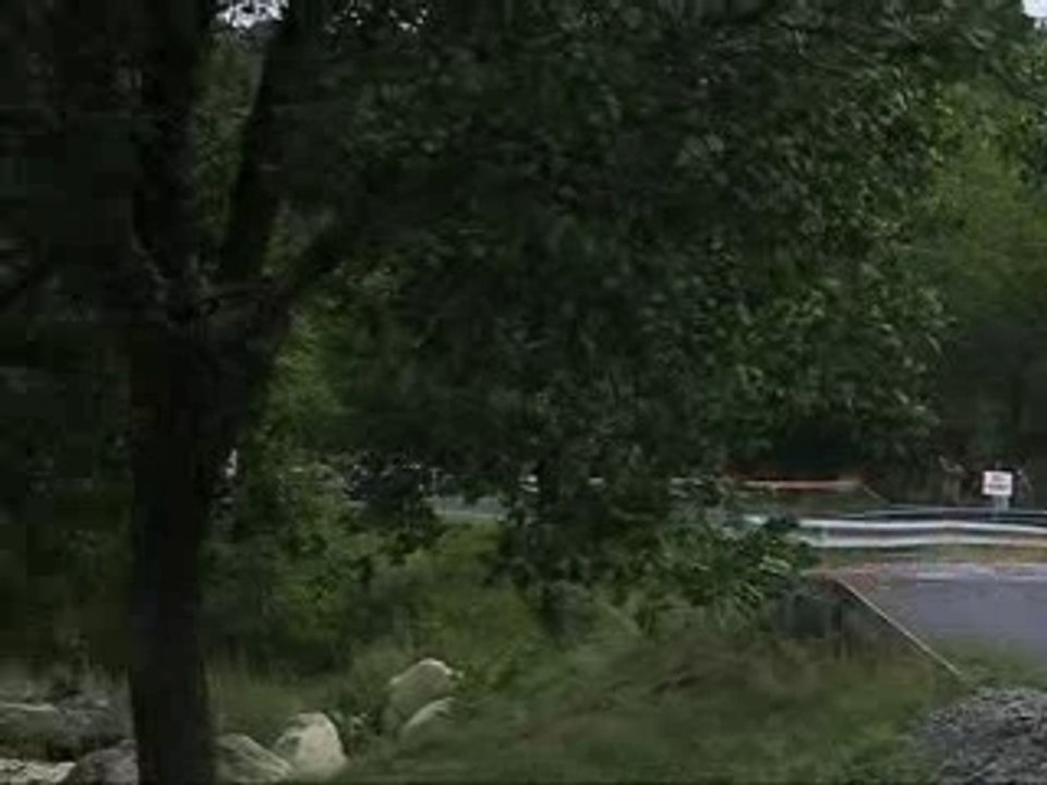 Rallye Des Vallées 2006 beraud clio grn williams