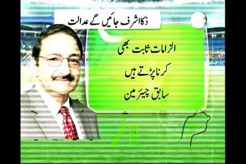 Zika Ashraf terminated chief PCB talks to media