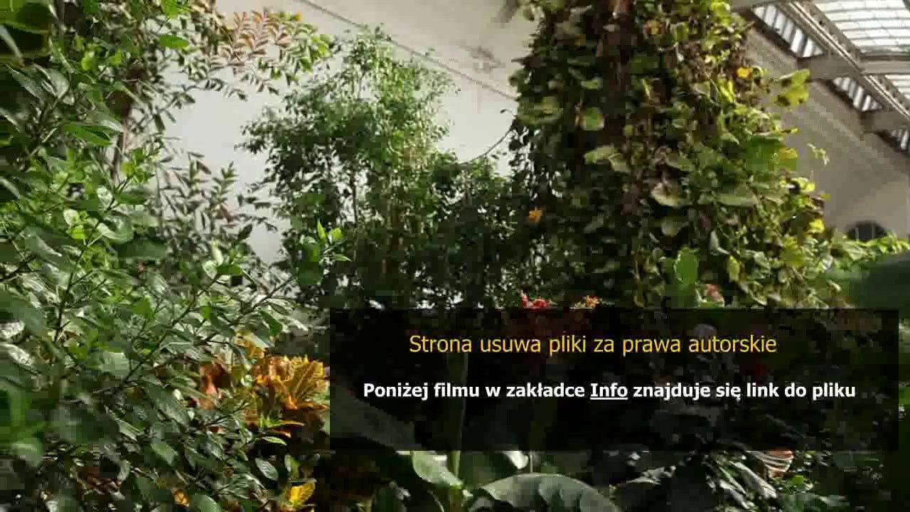 sposob na biznes w domu