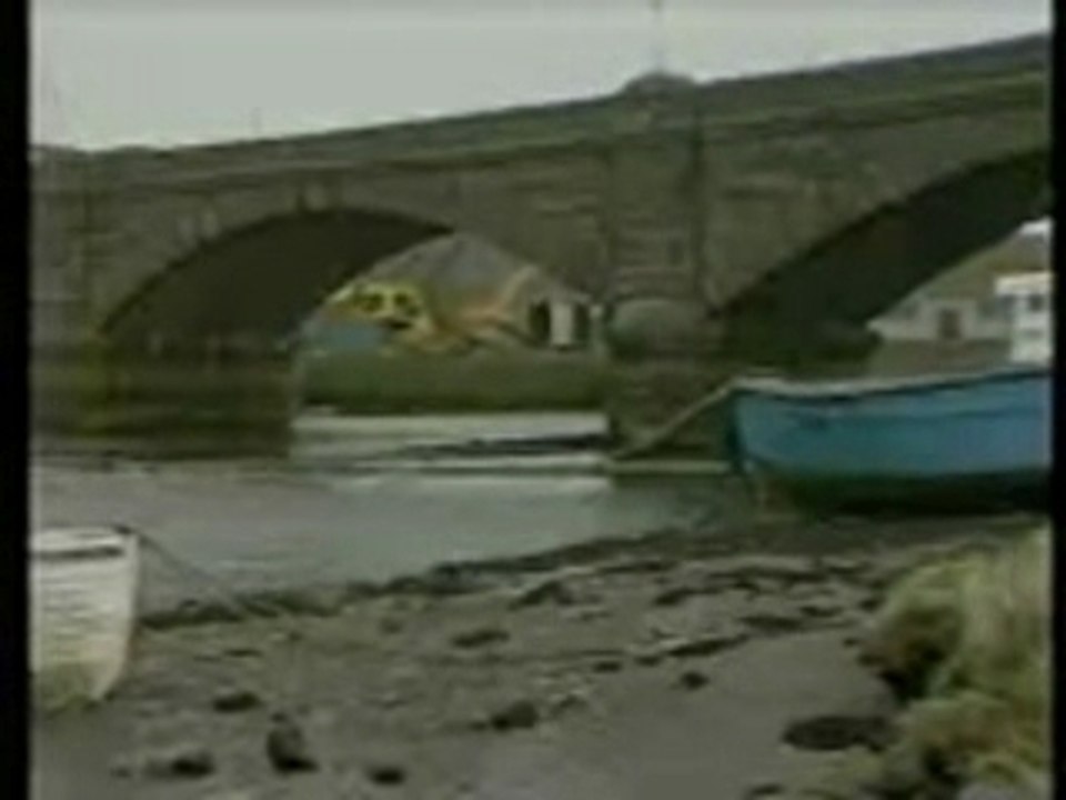 Cymdeithas yr iaith