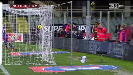 Fiorentina - Udinese Coppa Italia gol di Pasqual 11-2-2014