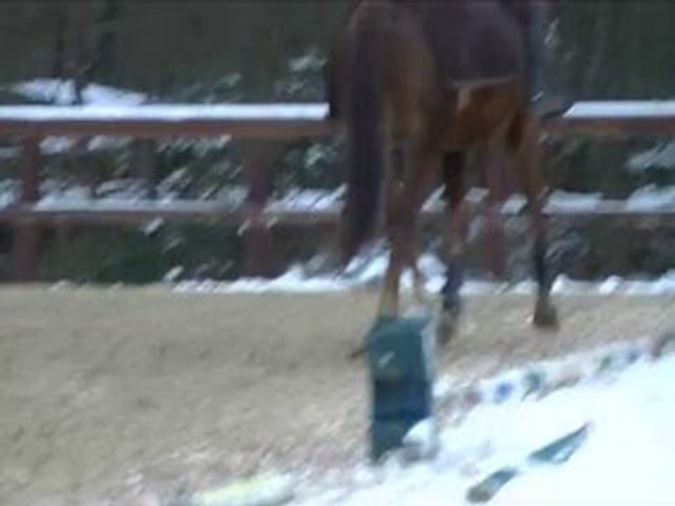 snow 2010