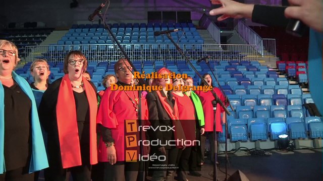 Cérémonie des voeux 2014 de Dominique Bailly à Orchies