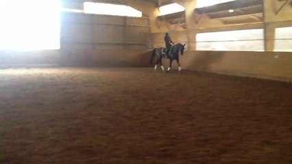 Don bandito Fanny galop