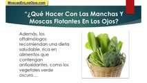 Manchas y Moscas Flotantes En Los Ojos: Como Combatir Las Moscas Flotantes o Manchas En Los Ojos