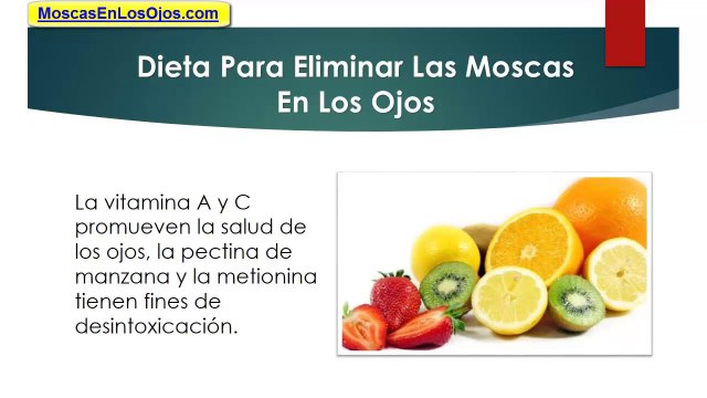 Como Eliminar Las Moscas En Los Ojos: Alternativas De Como Eliminar Las Moscas En Los Ojos
