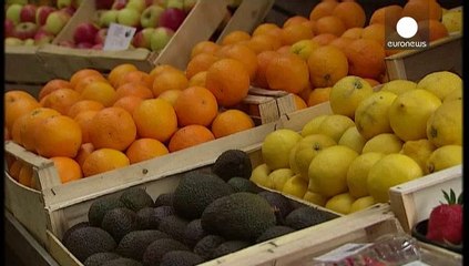 GMO corn from Du Pont & Dow gets green light in Europe