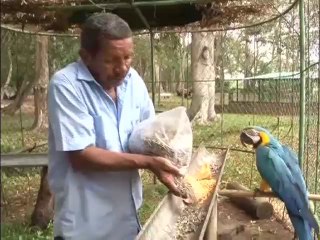 CVG emprende proyectos para mejorar Parque Cachamay en Puerto Ordaz