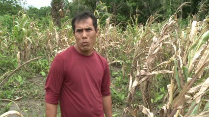 Torrential rains in Bolivia leave thousands without homes