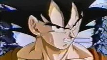 Majin vegeta vs goku