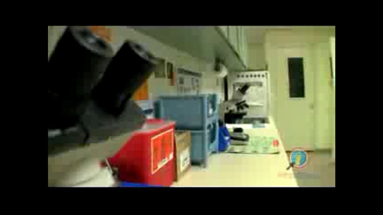 Clínica Veterinaria del Este / Servicios Veterinarios Fajardo