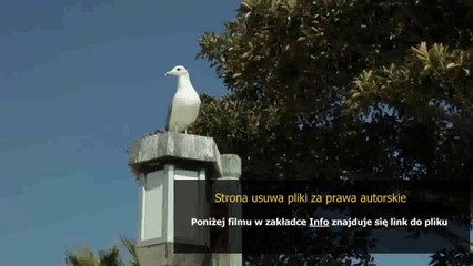 kupony do sfgame za free