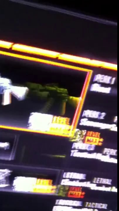 PlayerUp.com - Buy Sell Accounts - Blackops 2 max prestige account for sale ps3